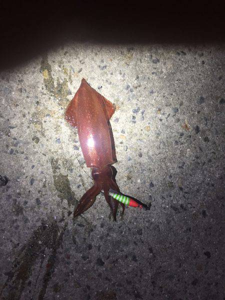 数が伸びない！