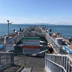 子供と盆休み釣行