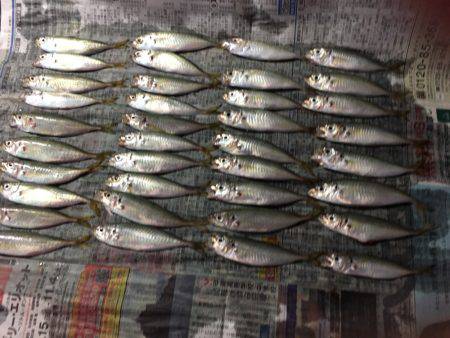 ファミリーフィッシング