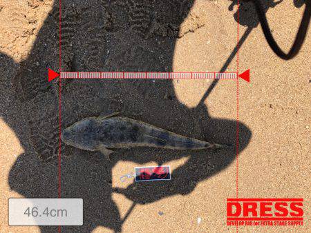 昼からマゴチ楠サーフ