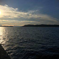 やっと加太で魚釣れた