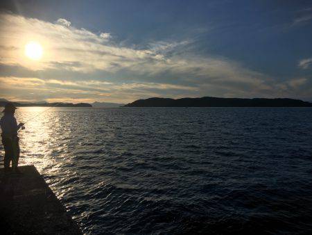 やっと加太で魚釣れた