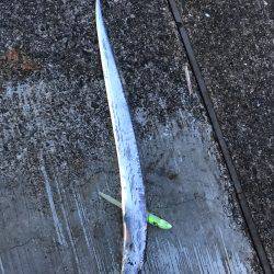 おることはおる!