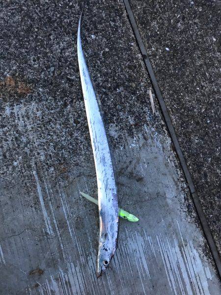 おることはおる！