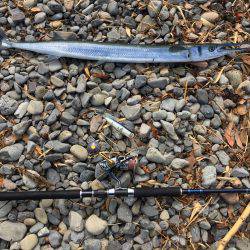 大里松原海岸 ダツゲー94cm