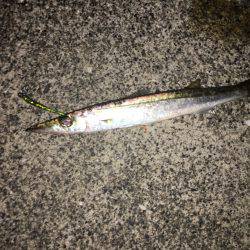 キャンプの合間に魚釣り