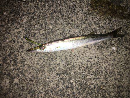 キャンプの合間に魚釣り