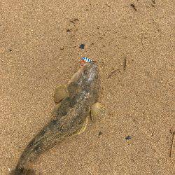 楠サーフDAY下げ