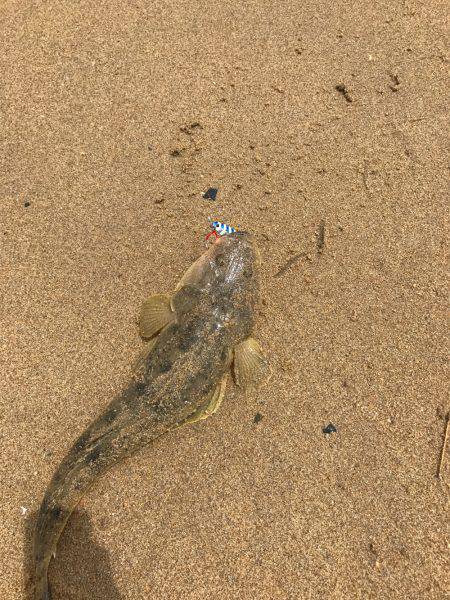 楠サーフDAY下げ