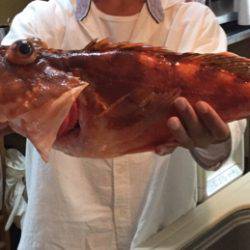 鯛ラバデビュー