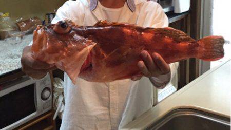 鯛ラバデビュー