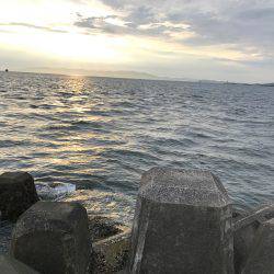 マズメ前からの釣行