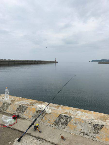 サビキでフラットフィッシュ