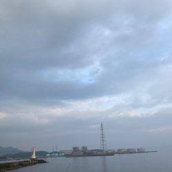 カマス ケンサキイカ