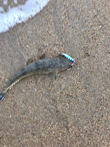 夕まずめにちょろっと楠サーフ