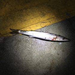 マリーナ大波止