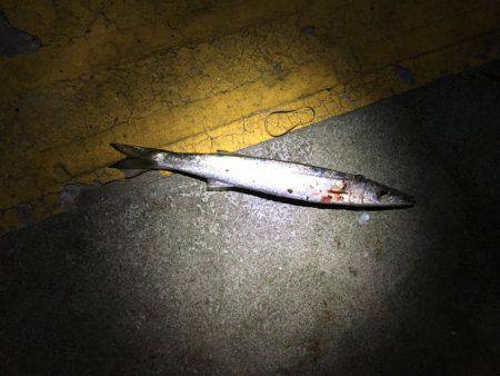 マリーナ大波止