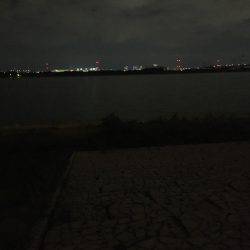 淀川ブリゲー 100枚達成