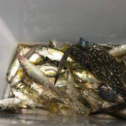 ファミリーフィッシング