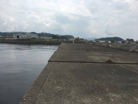 ソウダガツオとチャリコ