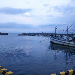 8月の海上釣堀オーパ!!シマアジ祭り