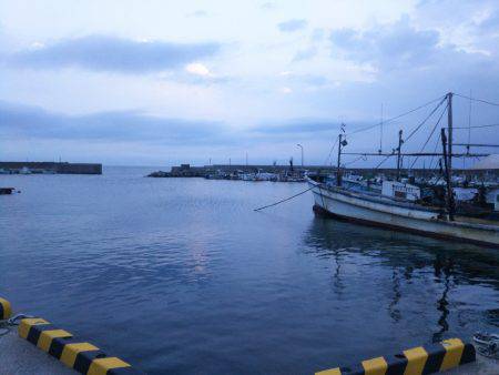 8月の海上釣堀オーパ!!シマアジ祭り