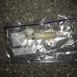 昨日と全然違う