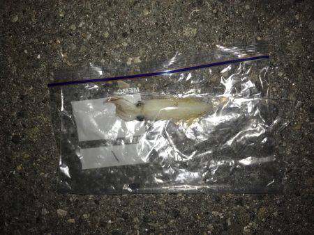 昨日と全然違う