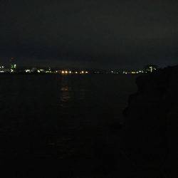 ワインドカマス