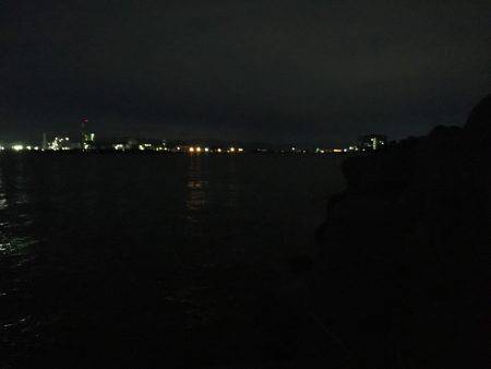 ワインドカマス