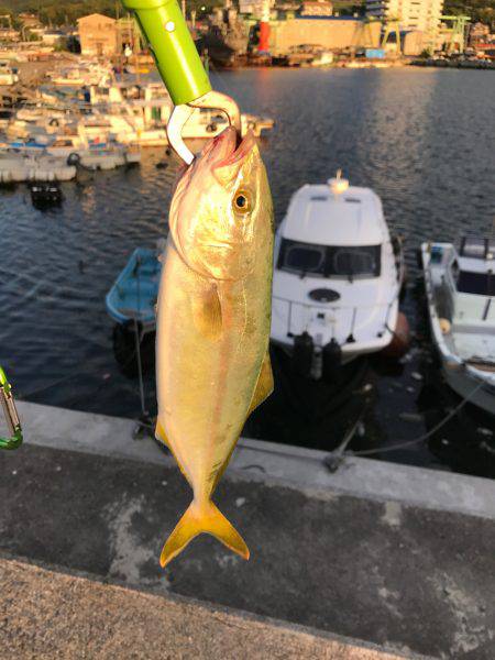 オフショアジギング