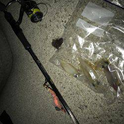 場所移動が正解