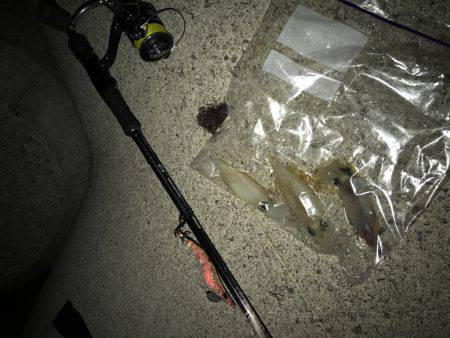 場所移動が正解