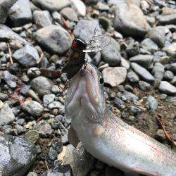 2家族での釣行&バーベキュー