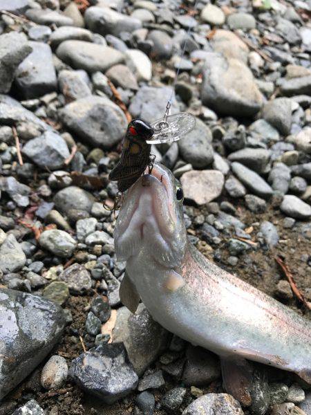 2家族での釣行&バーベキュー