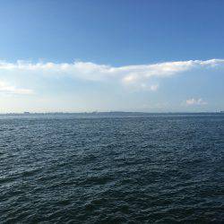 タチウオ釣りたい