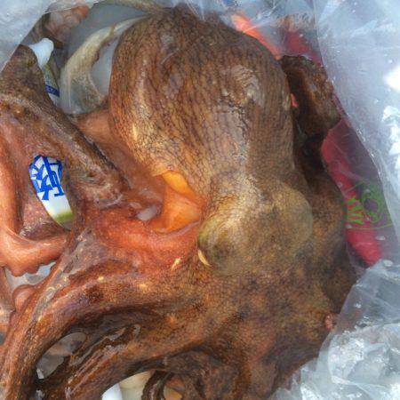 そろそろ終わりかな