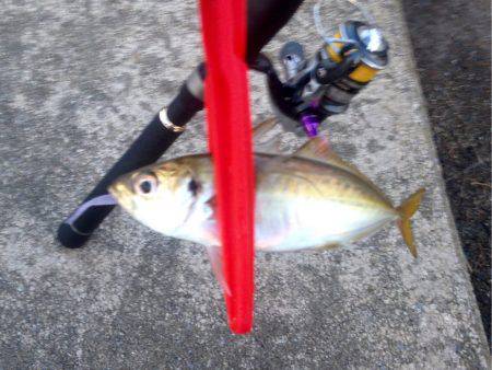 雷神には勝てず