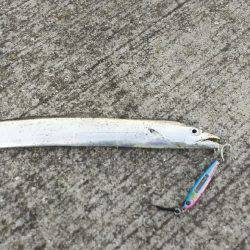 F2ばかりまだまだですな～