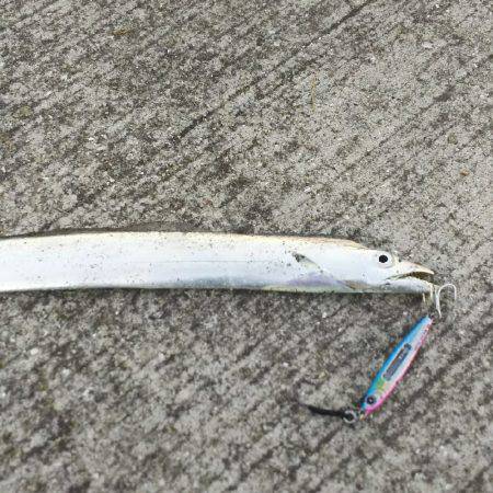 F2ばかりまだまだですな～