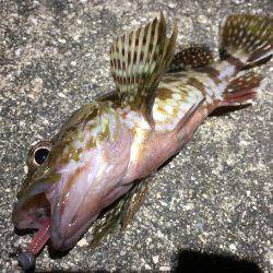 人混みを避ける。