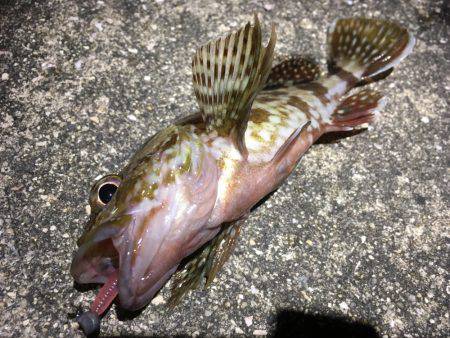 人混みを避ける。