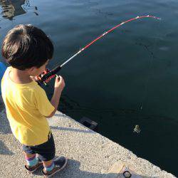 お気軽に五目釣り！