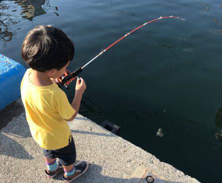 お気軽に五目釣り！