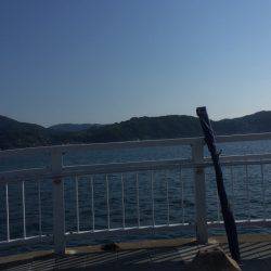 久々の夕マヅメ