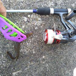 リベンジ穴釣り