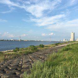 淀川ブリゲー デイキビレ