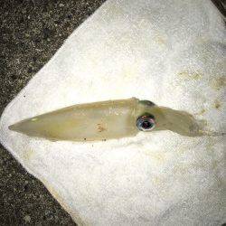 なんとか剣先一杯