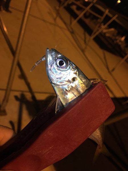 エブリデイアジング