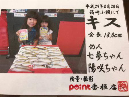 今日もサビキ釣り